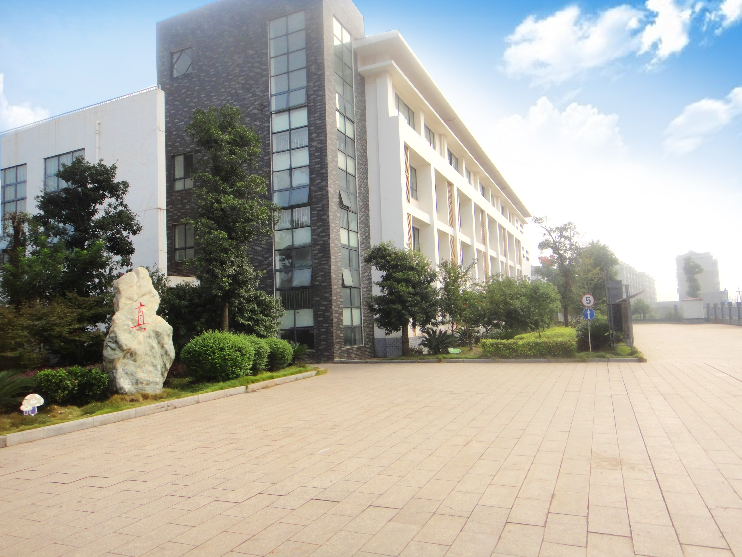 栗雨小学3