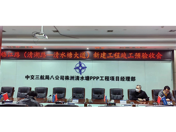 临江路（清湖路—清水塘大道）新建工程竣工预验收会